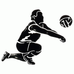Volleyball Car Sticker 3D Women passing black