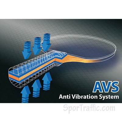 AVS antivibracine sistema