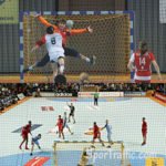 HUCK handball futsal goal net PP4.75mm